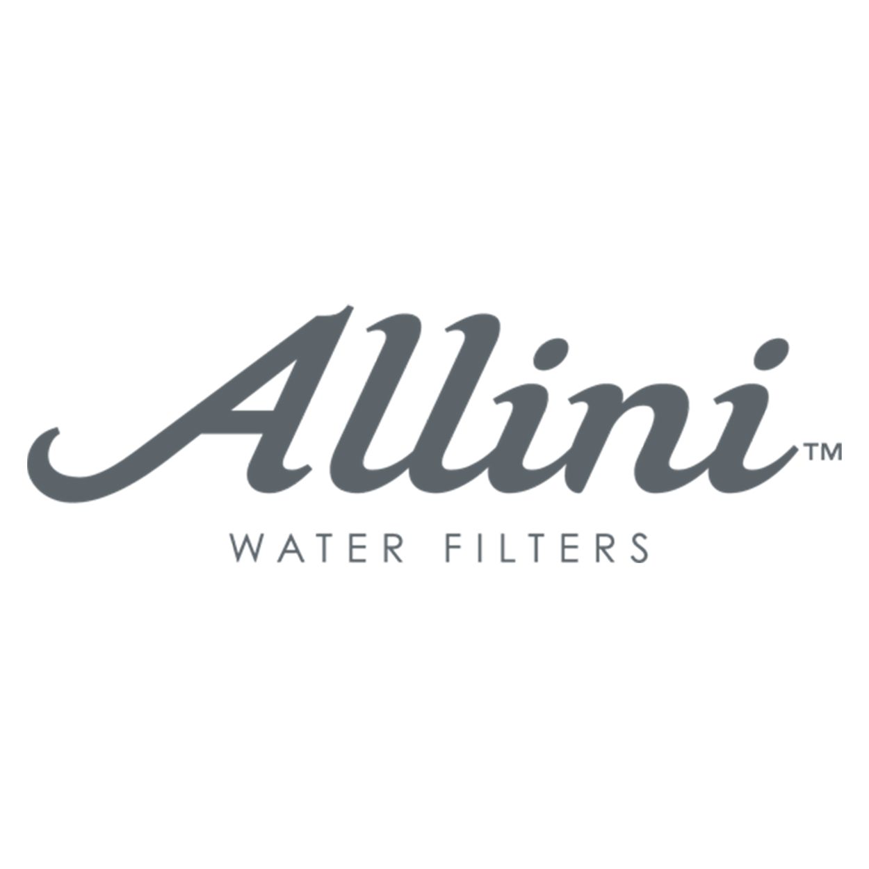 Allini Logo